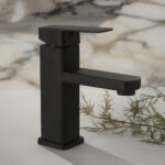 Grifo Aquiles bajo negro