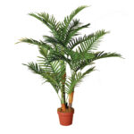 Palmera 120 cms