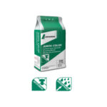 Junta universal Mortero Color