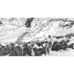 Finlandia Pulido 80x160cm - Imagen 3