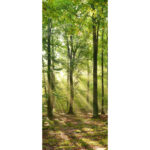 Revestimiento De Pared Panel Decoración Bosque Verde