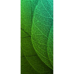 Revestimiento De Pared Panel Decoración Begonia