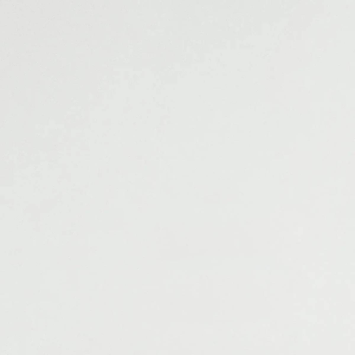 moon pulido 60x60 Moon Pulido 60x60cm MAGNIFICA COLLECTION - Imagen 1