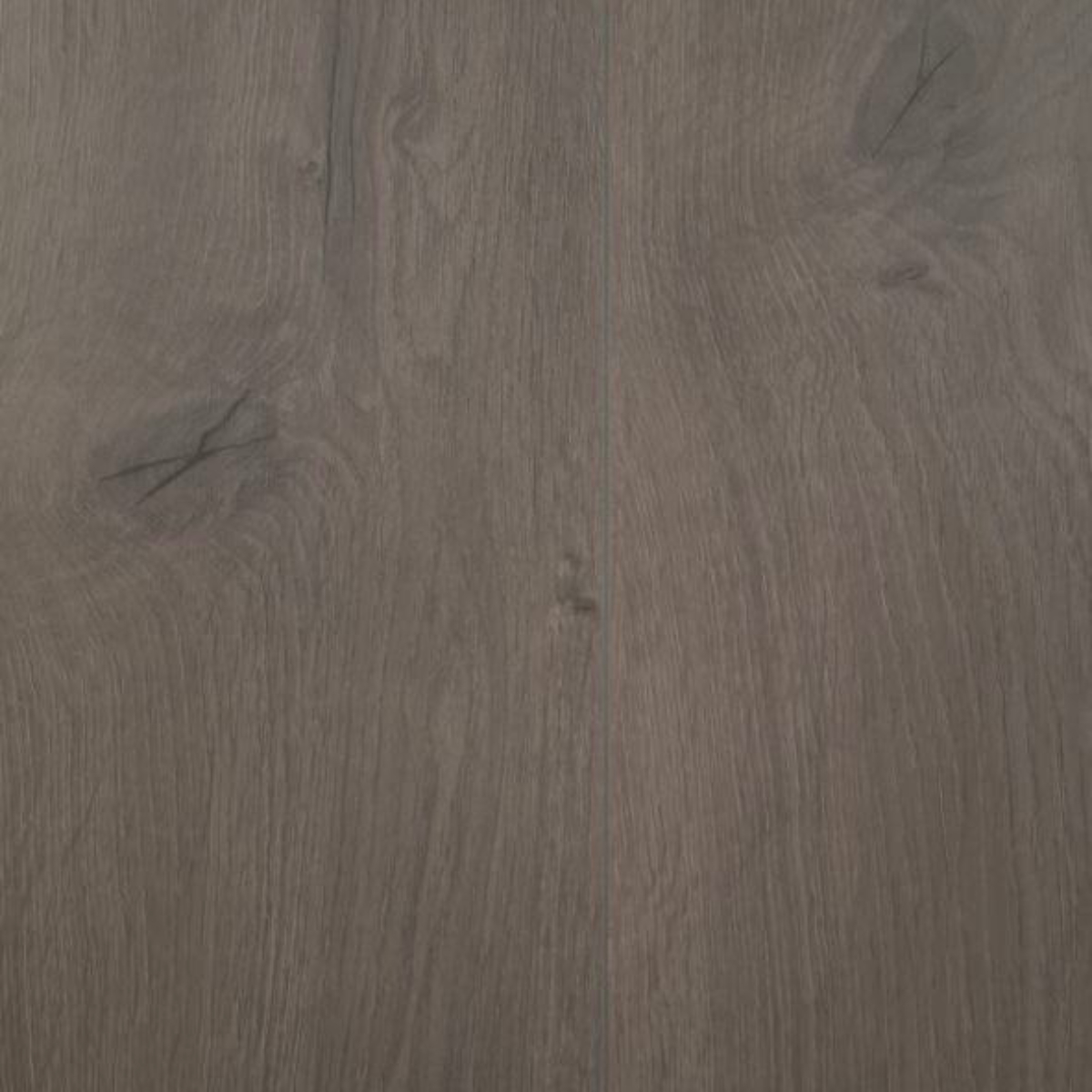 suelo laminado panteon Suelo Laminado Panteon Gloria Star AC5 8mm - Imagen 1