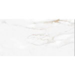 Estatuario Gold Mate Rectificado 59x120 CERPA